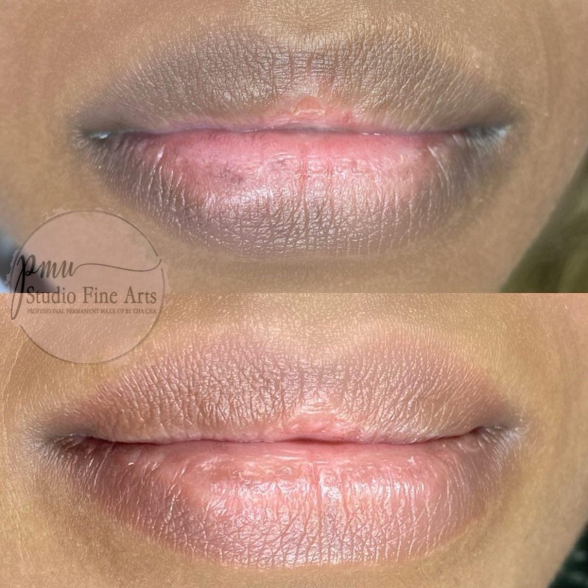 DONKERE LIPPEN CORRECTIE PMU Studio Fine Arts
